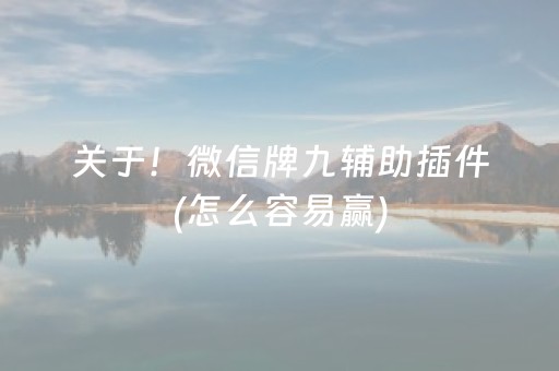 实测辅助“微乐辽宁麻将助赢神器购买（专用辅牌神器免安装）