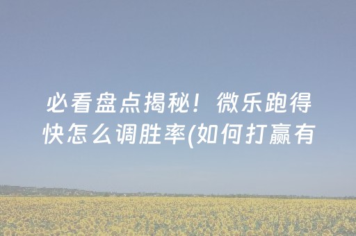 实测教程“牵手跑胡子开挂演示（助赢神器通用版）