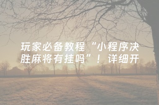 玩家必备教程“微乐河南跑得快专用神器（助赢神器通用版）