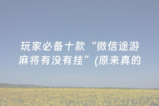 玩家必备十款“微信途游麻将有没有挂”(原来真的有挂)-抖音