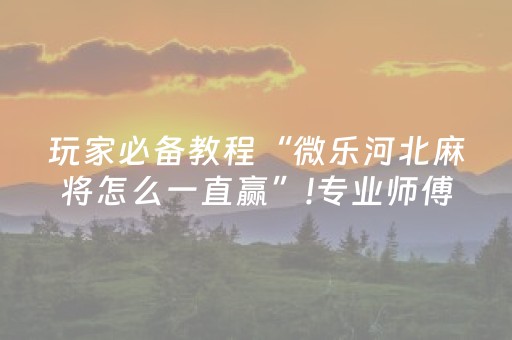 必看教程！“哈灵麻将到底有没有挂”（详细透视教程）-哔哩哔哩