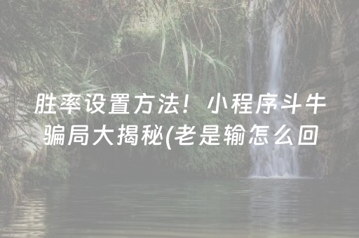 玩家必看攻略“手机外挂制作教程（专用辅牌神器免安装）