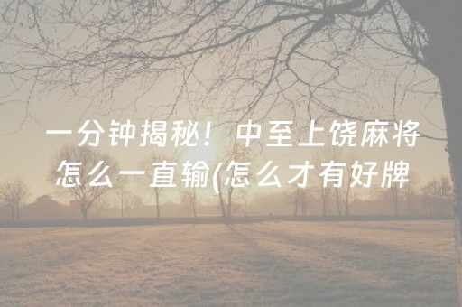 必看教程“哈灵杭州麻将胡牌神器”（详细透视教程）-哔哩哔哩