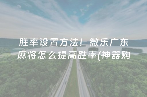 胜率设置方法！微乐广东麻将怎么提高胜率(神器购买好牌规律)