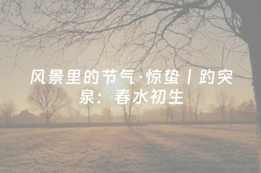 实测辅助“麻友圈辅助器（专用辅牌神器免安装）