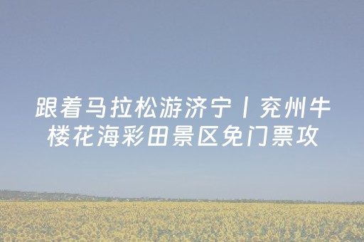 今日盘点“功夫川麻辅助工具大全”（详细透视教程）-哔哩哔哩
