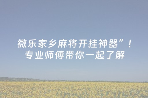 微乐家乡麻将开挂神器”!专业师傅带你一起了解（详细教程）-抖音
