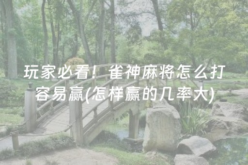玩家必看！雀神麻将怎么打容易赢(怎样赢的几率大)