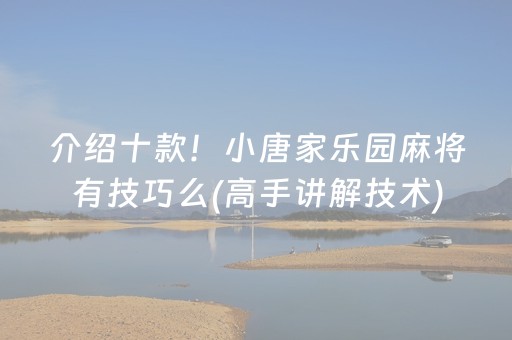 介绍十款！小唐家乐园麻将有技巧么(高手讲解技术)