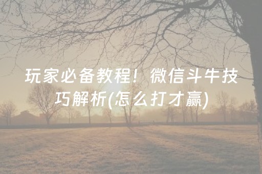 玩家必备教程！微信斗牛技巧解析(怎么打才赢)