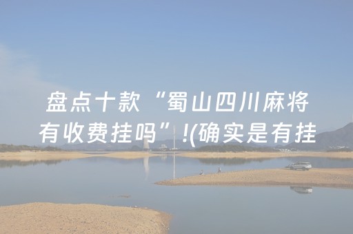 盘点十款“蜀山四川麻将有收费挂吗”!(确实是有挂)-抖音