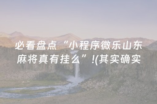 必看盘点“小程序微乐山东麻将真有挂么”!(其实确实有挂)-抖音