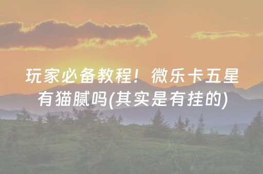 玩家必备教程！微乐卡五星有猫腻吗(其实是有挂的)