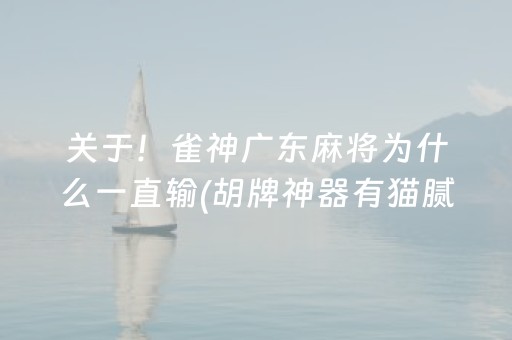 关于！雀神广东麻将为什么一直输(胡牌神器有猫腻吗)