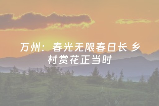 胜率设置方法“微信微乐麻将挂件神器（专用辅牌神器免安装）