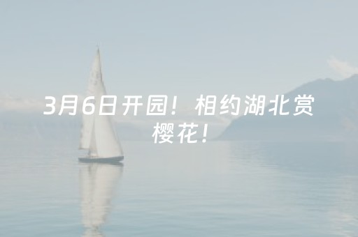 实测分享“中至麻将可以设置输赢吗”（详细辅助教程）-哔哩哔哩