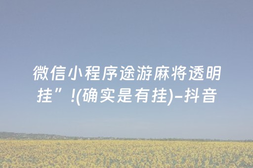 微信小程序途游麻将透明挂”!(确实是有挂)-抖音