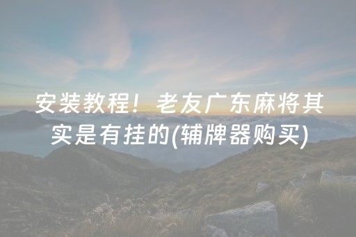 安装教程！老友广东麻将其实是有挂的(辅牌器购买)