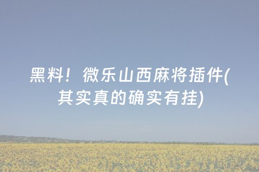 黑料！微乐山西麻将插件(其实真的确实有挂)