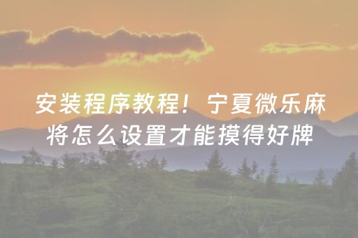安装程序教程！宁夏微乐麻将怎么设置才能摸得好牌(为什么一直输)