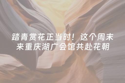 新版本“微乐手机麻将软挂神器新款”（详细透视教程）-哔哩哔哩