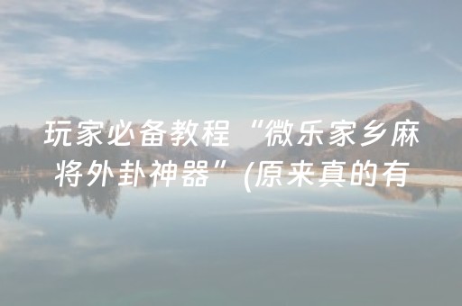 玩家必备教程“微乐家乡麻将外卦神器”(原来真的有挂)-抖音