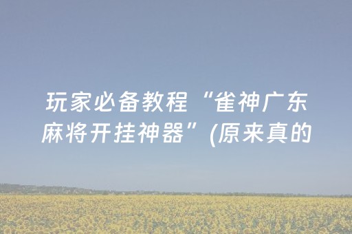 玩家必备教程“雀神广东麻将开挂神器”(原来真的有挂)-抖音