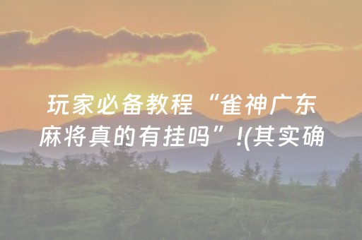 玩家必备教程“雀神广东麻将真的有挂吗”!(其实确实有挂)-抖音