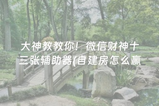 大神教教你！微信财神十三张辅助器(自建房怎么赢)