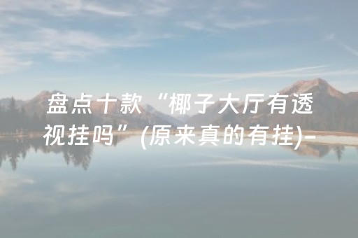 实测教程“雀神广东麻将神器软件”（详细透视教程）-哔哩哔哩