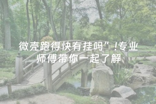 微壳跑得快有挂吗”!专业师傅带你一起了解（详细教程）-抖音