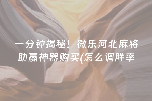 一分钟揭秘！微乐河北麻将助赢神器购买(怎么调胜率)