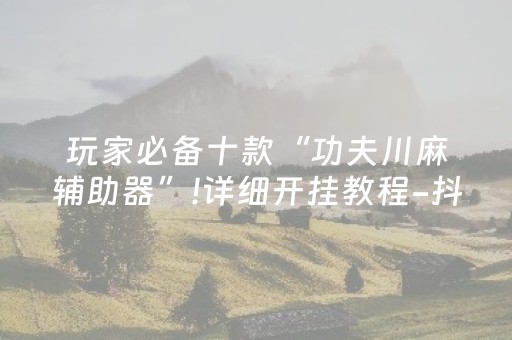 玩家必备十款“功夫川麻辅助器”!详细开挂教程-抖音