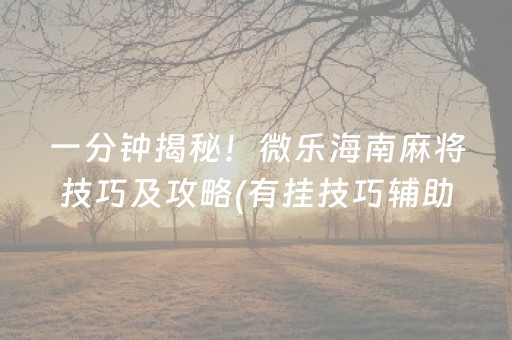 一分钟揭秘！微乐海南麻将技巧及攻略(有挂技巧辅助器)
