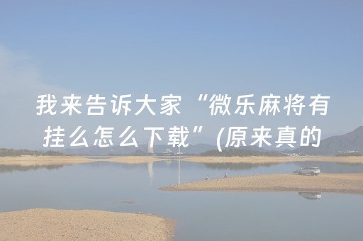 实测辅助“最新6代飞针麻将设备”（详细透视教程）-哔哩哔哩