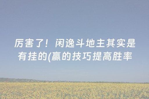 厉害了！闲逸斗地主其实是有挂的(赢的技巧提高胜率)