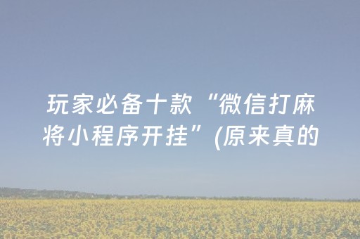 玩家必备十款“微信打麻将小程序开挂”(原来真的有挂)-抖音