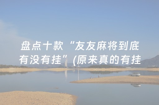盘点十款“友友麻将到底有没有挂”(原来真的有挂)-抖音