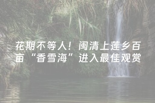 教程辅助“科乐长春麻将挂”（详细透视教程）-哔哩哔哩