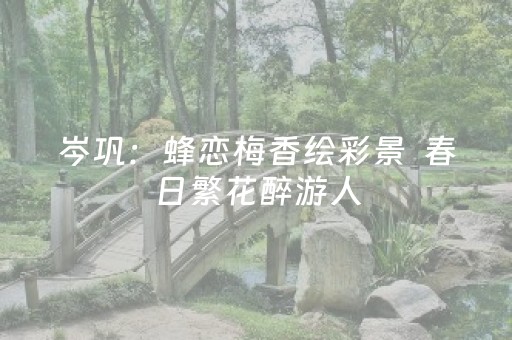 实测辅助“广东雀神辅助器插件”（详细透视教程）-哔哩哔哩