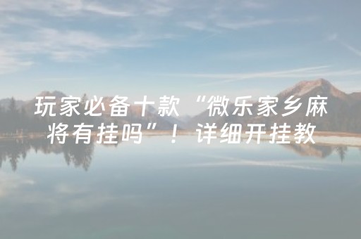 玩家必备十款“微乐家乡麻将有挂吗”！详细开挂教程（确实真的有挂)-抖音