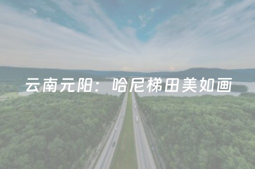 必看教程！“微友麻将铺牌器”（详细辅助教程）-哔哩哔哩