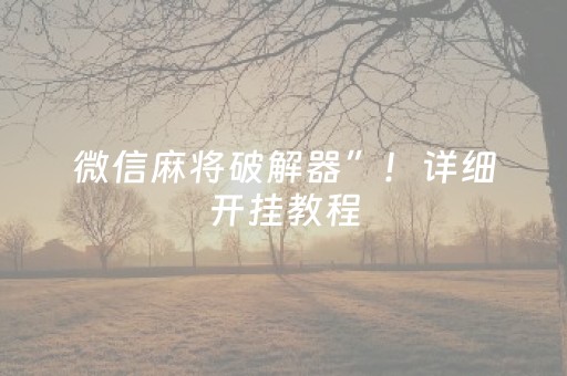 微信麻将破解器”！详细开挂教程（确实真的有挂)-抖音