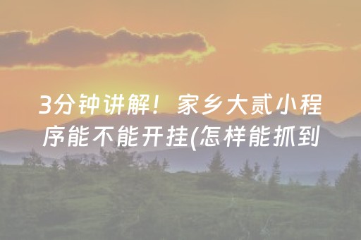 3分钟讲解！家乡大贰小程序能不能开挂(怎样能抓到好牌)