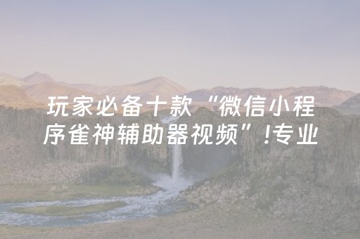 玩家必备十款“微信小程序雀神辅助器视频”!专业师傅带你一起了解（详细教程）-抖音