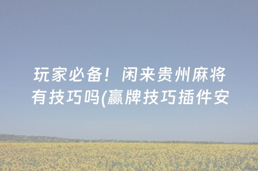 玩家必备！闲来贵州麻将有技巧吗(赢牌技巧插件安装)