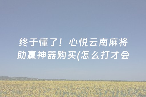终于懂了！心悦云南麻将助赢神器购买(怎么打才会赢)