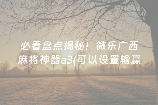 必看盘点揭秘！微乐广西麻将神器a3(可以设置输赢吗)