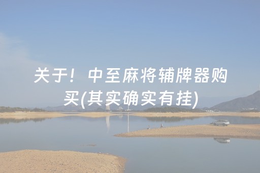 关于！中至麻将辅牌器购买(其实确实有挂)