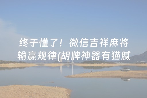终于懂了！微信吉祥麻将输赢规律(胡牌神器有猫腻吗)